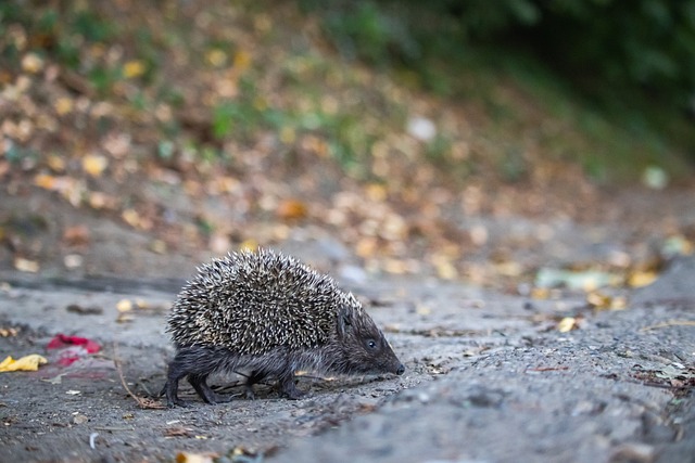 見證賽事旅 見證賽事旅