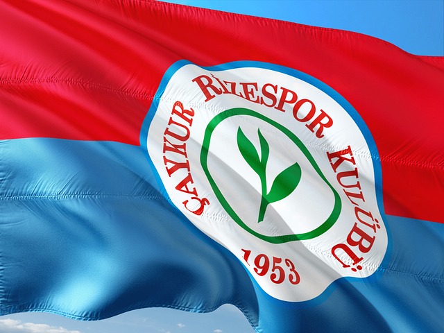 郑钦文在温 郑钦文在温