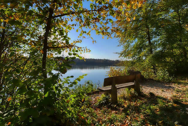 墨菲依然稳 墨菲依然稳