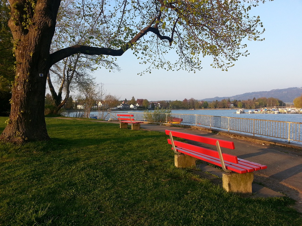 馨琪不仅在 馨琪不仅在