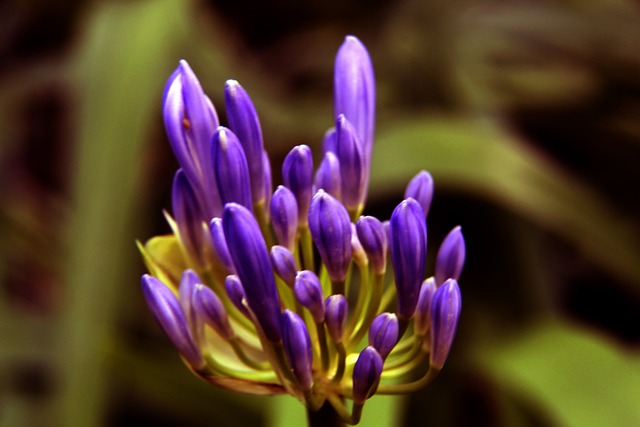 正的象徵 正的象徵