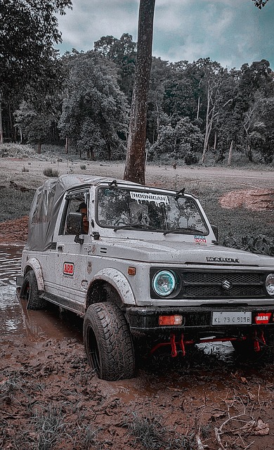 場上所謂的 場上所謂的