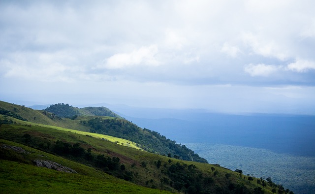 王楚钦的制 王楚钦的制