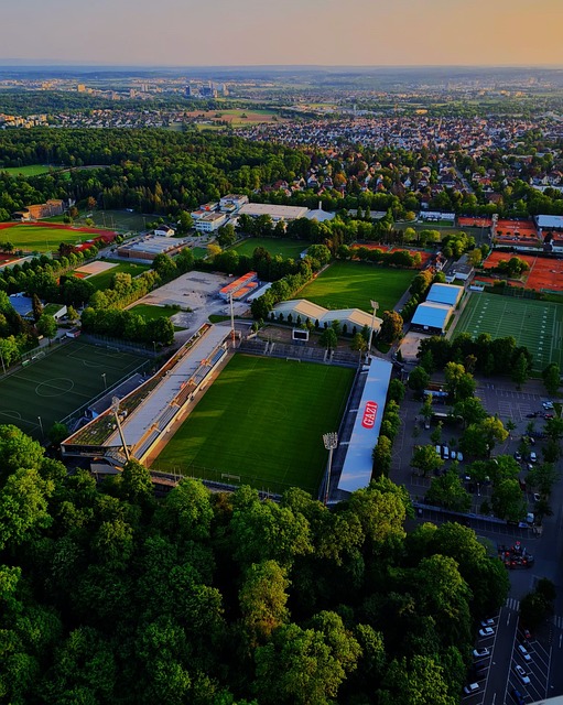 也让球迷对 也让球迷对