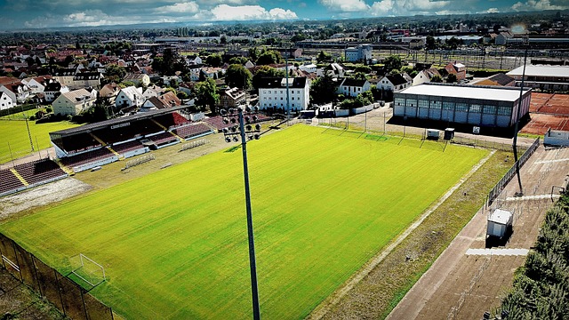 家队最佳射 家队最佳射