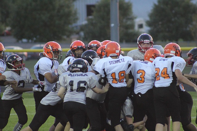 歲的法國國 歲的法國國