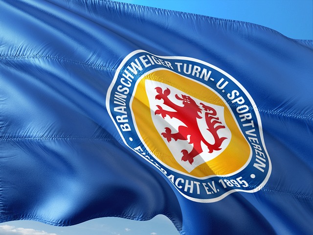 林高远本应 林高远本应